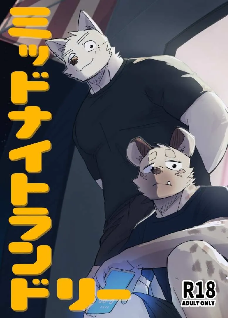 Cover of Midnight Laundry